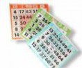 /album/equipamiento/carton-bingo-con-figura3-copy-jpg/